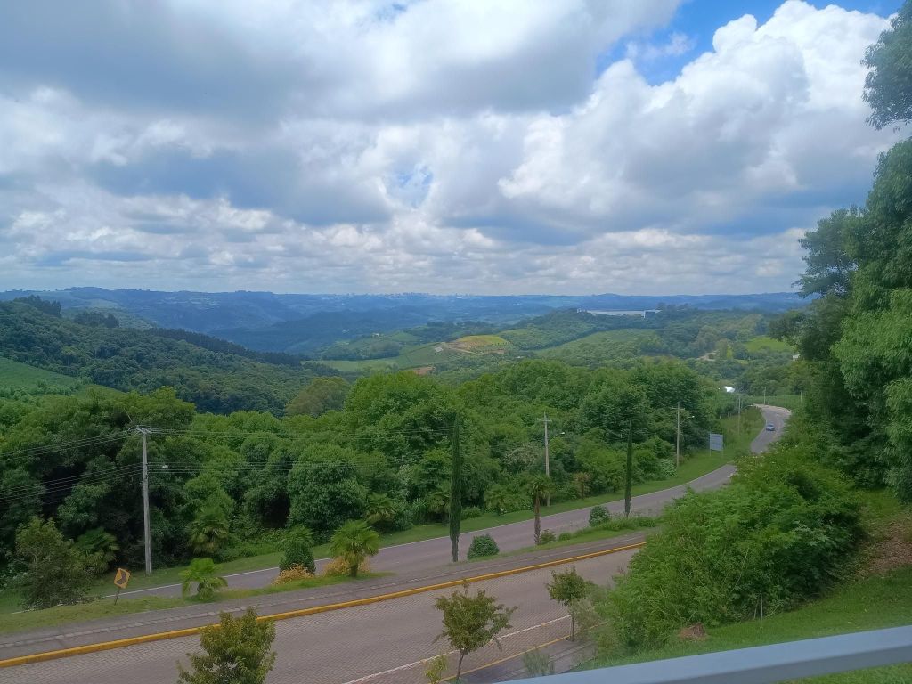 Pedalando na Vindima